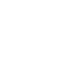 Standardization
        platform
